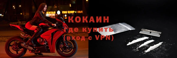 соль ск Алексин